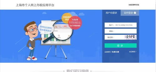 自然人稅收管理系統(tǒng)客戶端生產(chǎn)經(jīng)營申報操作與信息系統(tǒng)運行維護(hù)服務(wù)指南